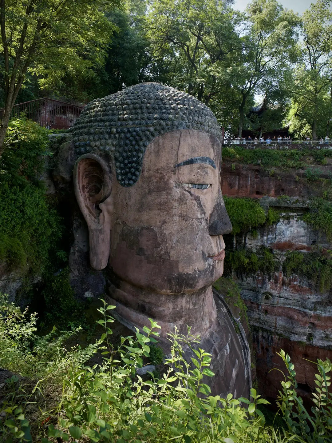 Group Tour in Chengdu